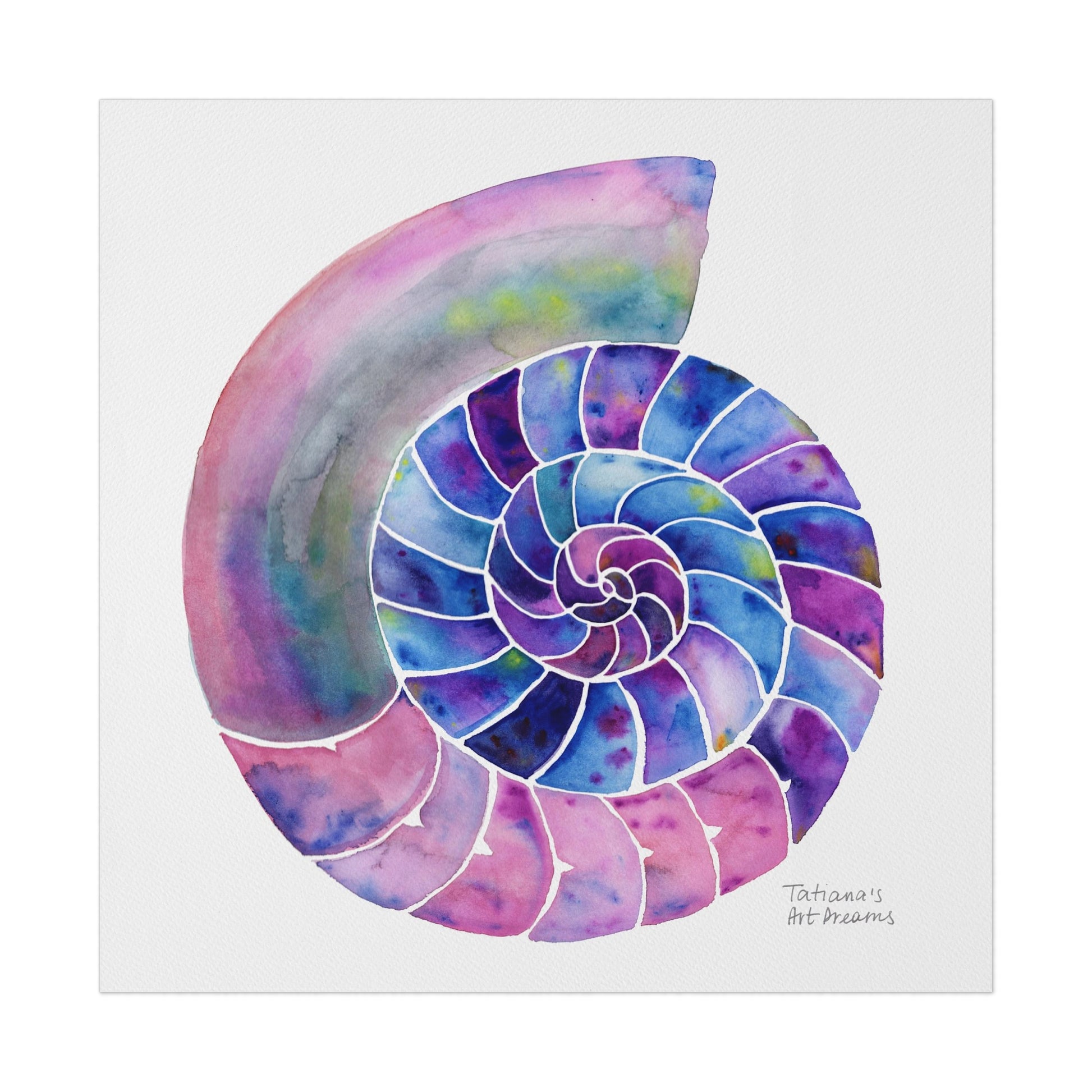 nautilus shell watercolor